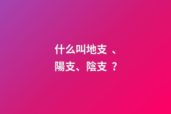 什么叫地支、陽支、陰支？